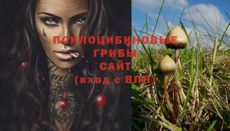 где найти   Уфа  Галлюциногенные грибы Cubensis 